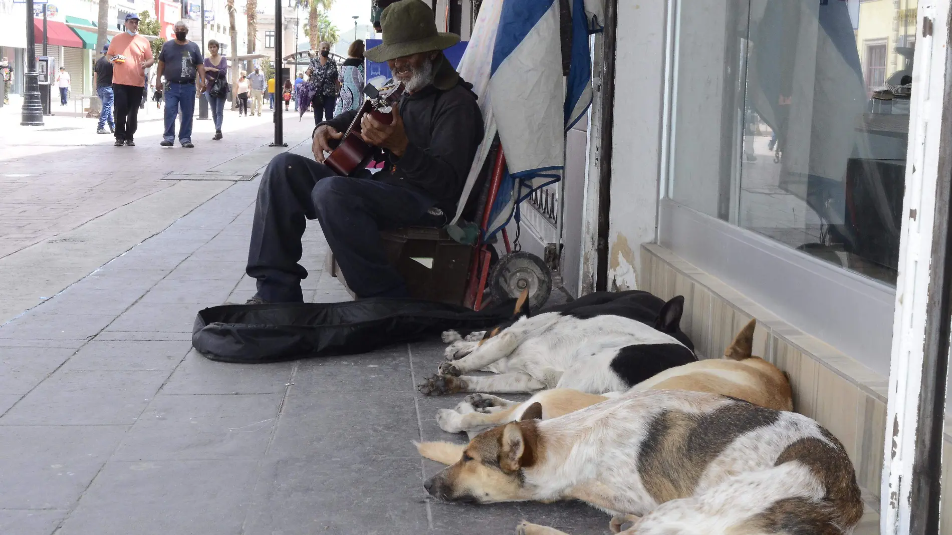 Señor Tocando su guitarra y sus mascotas en busca de unas Monedas en calle Libertad (1)